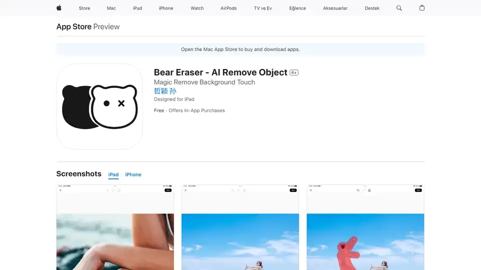 Bear Eraser