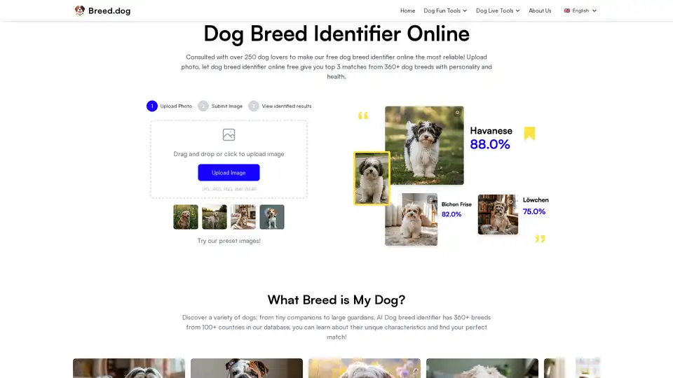 Dog Breed Identifier