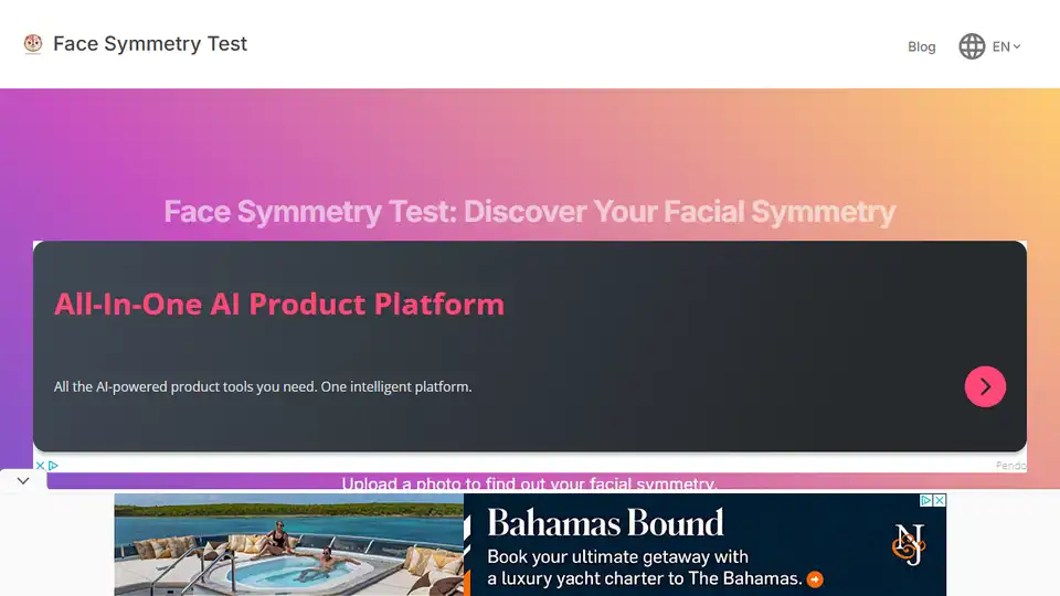 Face Symmetry Test