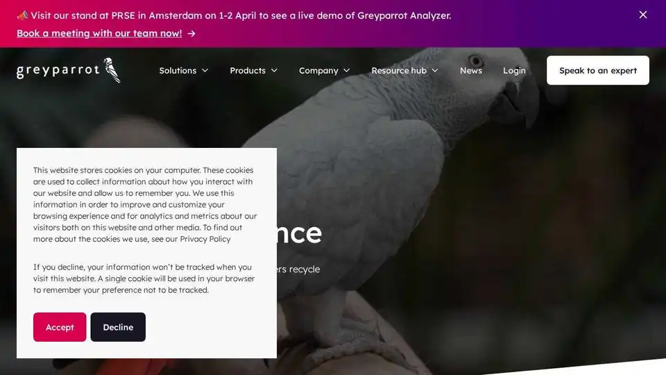 Greyparrot
