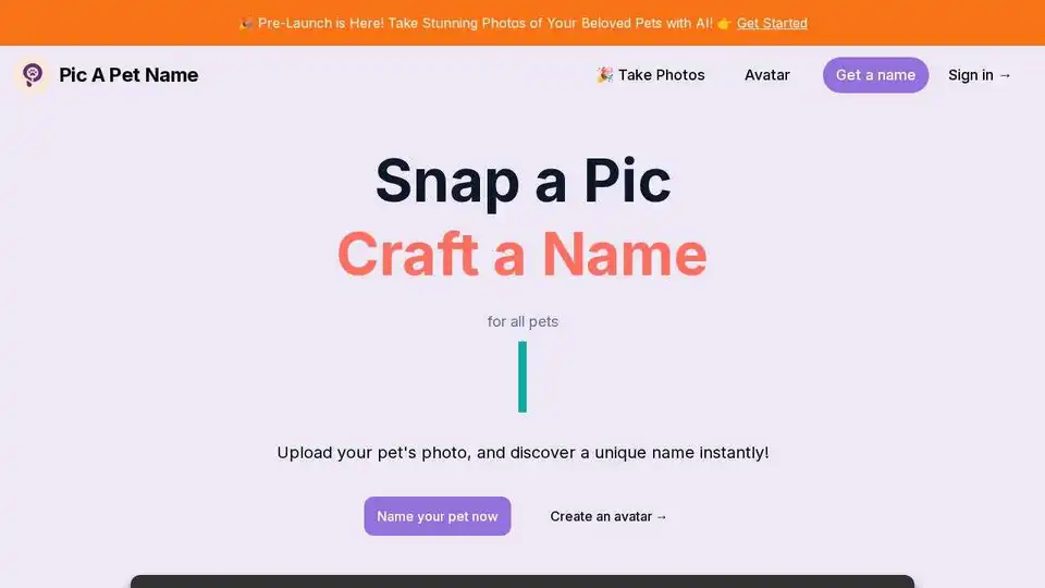 Pic A Pet Name