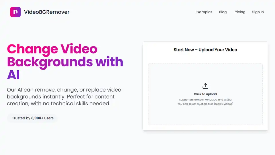 VideoBGRemover