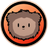 Die weltweit beste KI zum Greifen nah. | Bearly