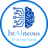 brAIneous – 人工智能在您手中