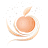 SparklingPeach - Erstellen Sie professionelle Kurse online