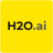 H2O.ai: Convergence of Predictive and Generative AI for Private Data