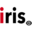 Iris Roads : Maintenance routière et gestion d'actifs alimentées par l'IA