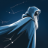 Cosmica: Astrología AI y Tarot - Horóscopos personalizados, natal chart y lecturas de tarot