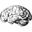 Namy.ai：真正有效的域名生成器。