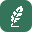 Opendraft: SEO Optimized Blogs