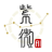 Zi Wei AI - Herramienta profesional de análisis AI de Zi Wei Dou Shu